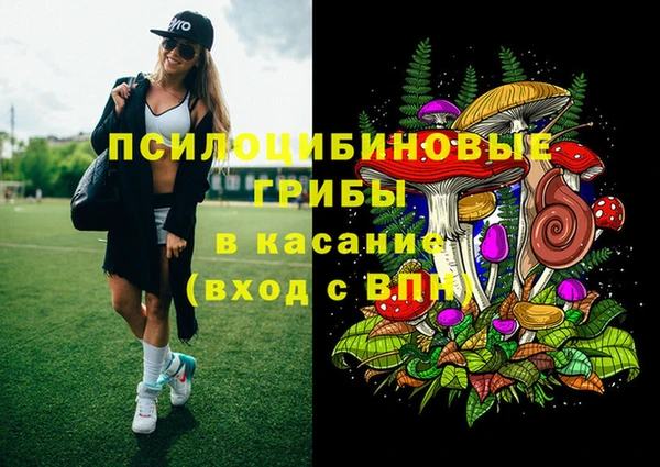 амф Аркадак