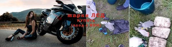гидропоника Арсеньев