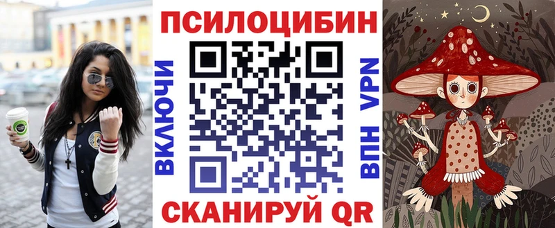 Псилоцибиновые грибы Psilocybe  где купить наркотик  Верхняя Салда 