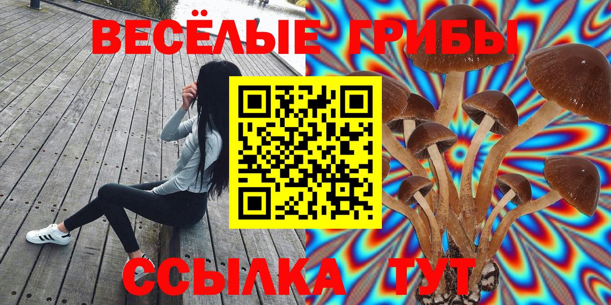 Псилоцибиновые грибы Magic Shrooms  Вход с VPN  продажа наркотиков  Верхняя Салда  Галлюциногенные грибы MAGIC MUSHROOMS 