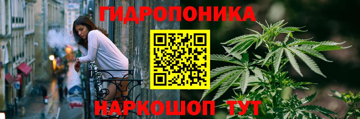 Шишки марихуана Bruce Banner Верхняя Салда